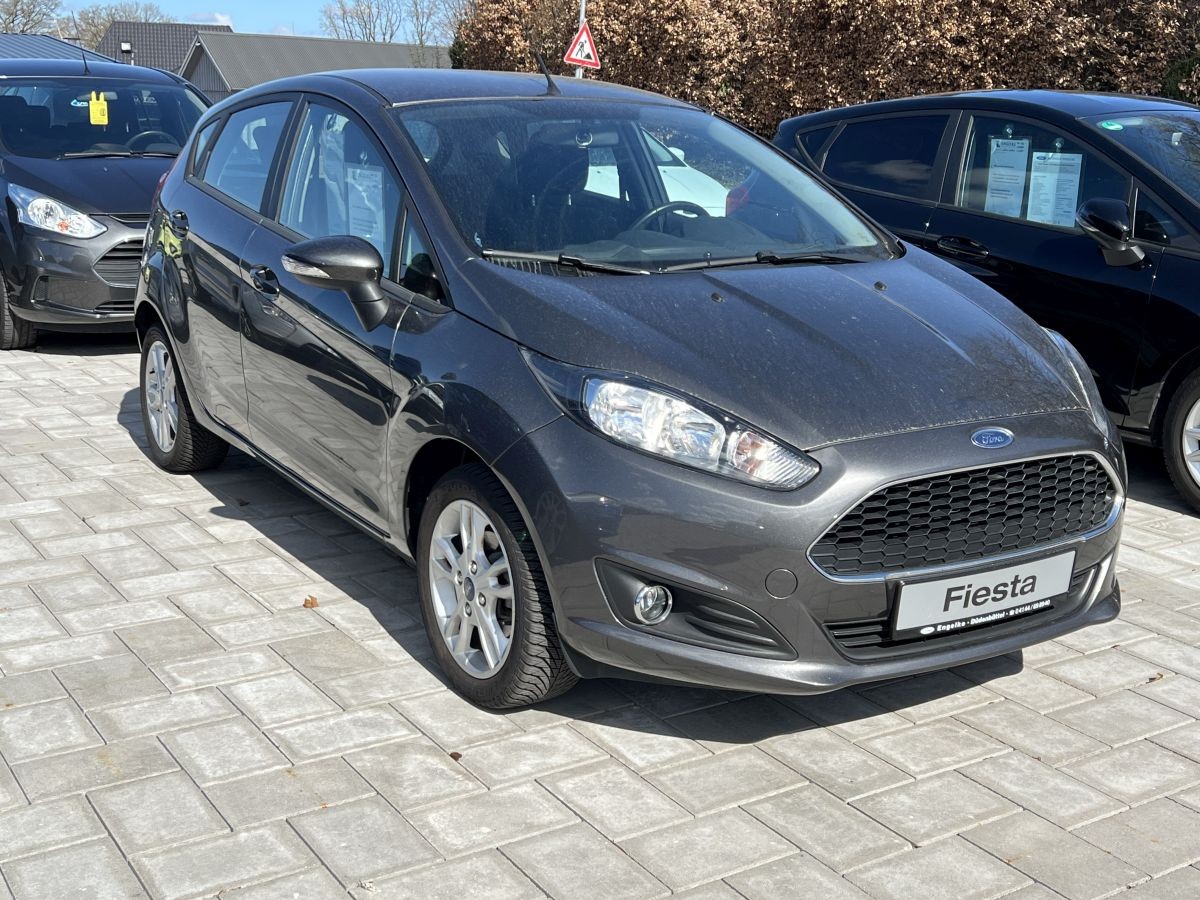 Ford Fiesta 1.25 Trend 5-türig